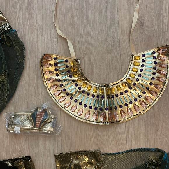 Egyptian Goddess Costume - Picture 4 of 6